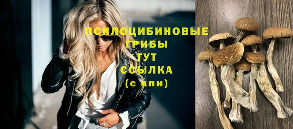 трава Ладушкин