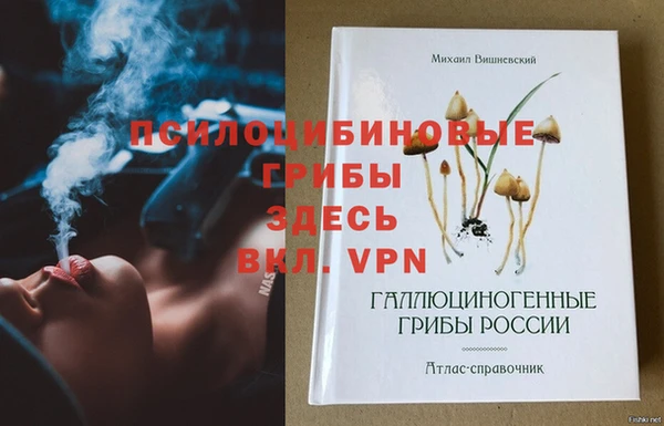 стафф Козловка