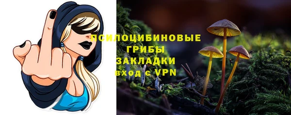 стаф Беломорск