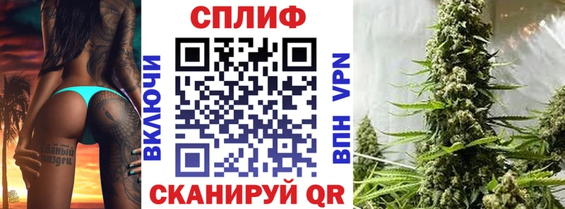 закладки  Котовск  Канабис марихуана 